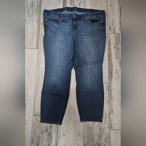 Torrid Skinny Jeans 24 Short